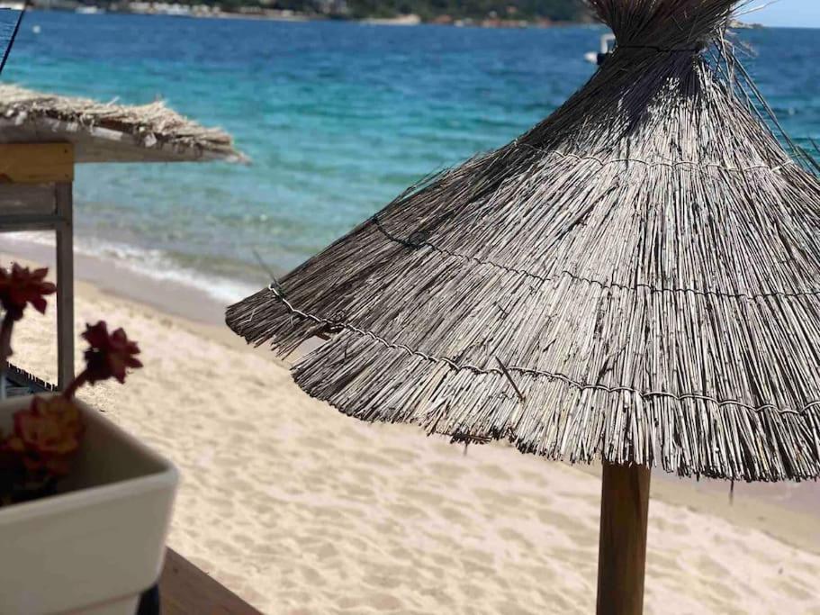 Piscine A 1km Proche Porto Vecchio Lecci