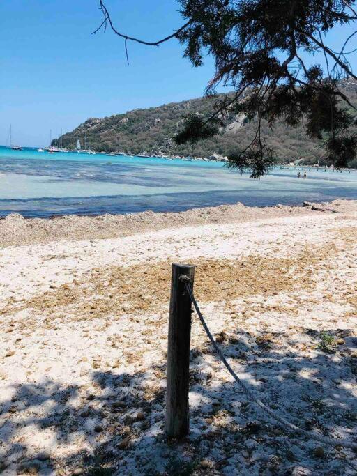 Piscine A 1km Proche Porto Vecchio *