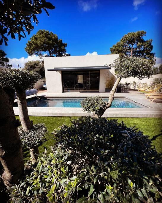 Piscine A 1km Proche Porto Vecchio Villa *